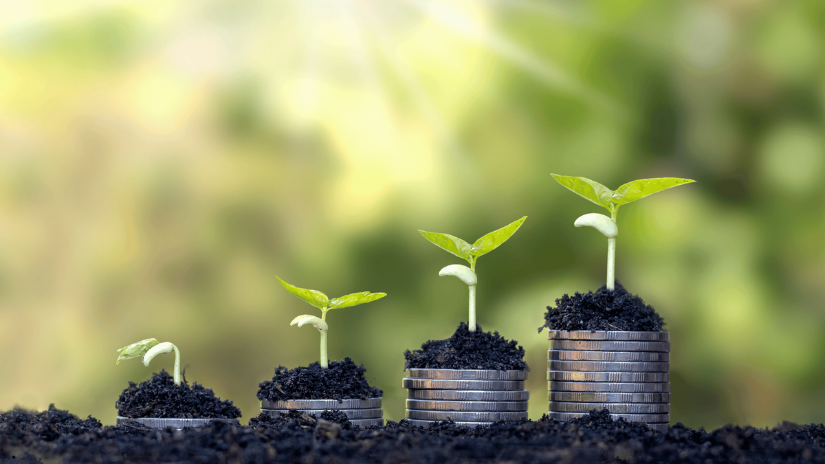 What Is Your CRNA Money Story?