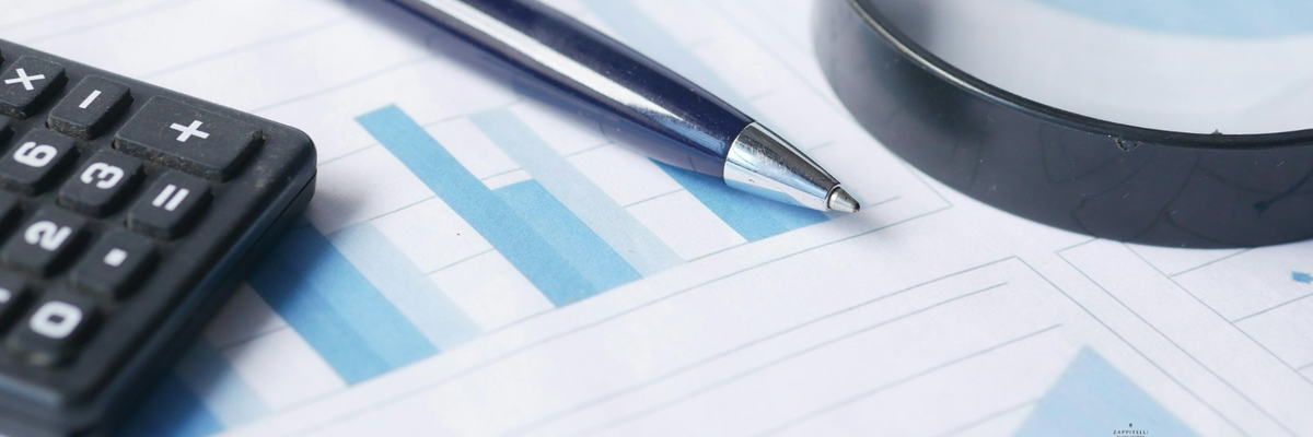 A Taxing Story: Capital Gains and Losses