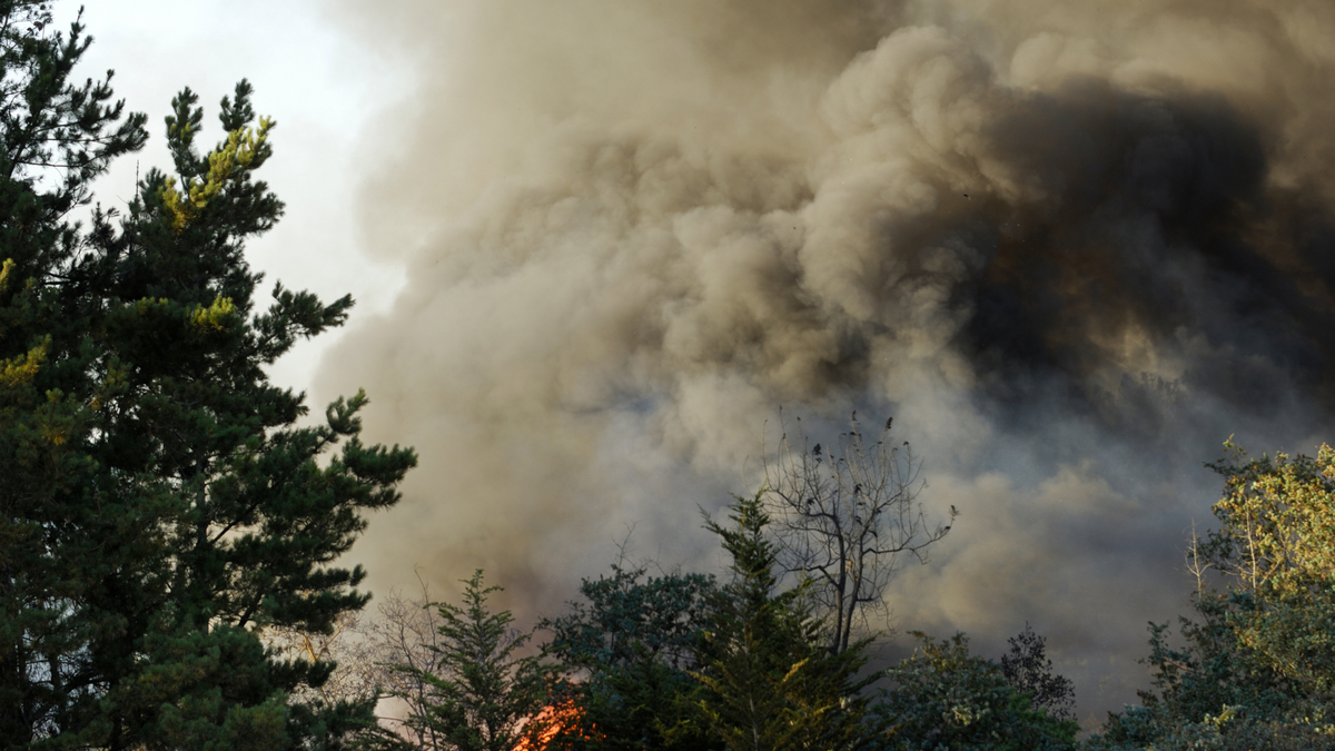 Canadian Wildfires & Your Homeowner’s Policy