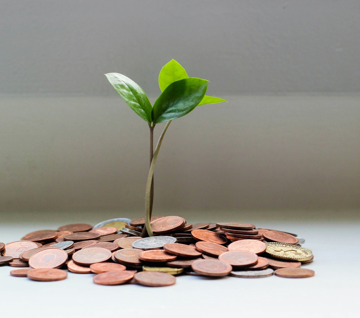 Building on Small Successes