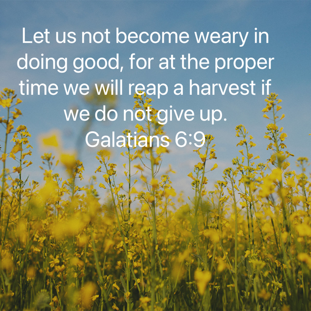 Galatians 6:9