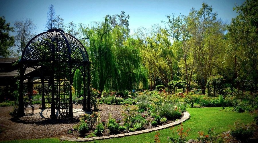 Financial Advisor in La Cañada Flintridge: Wealth Planning for Families, Professionals, and More