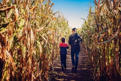 Navigating the Maze of Medical Expenses and Insurance Coverage