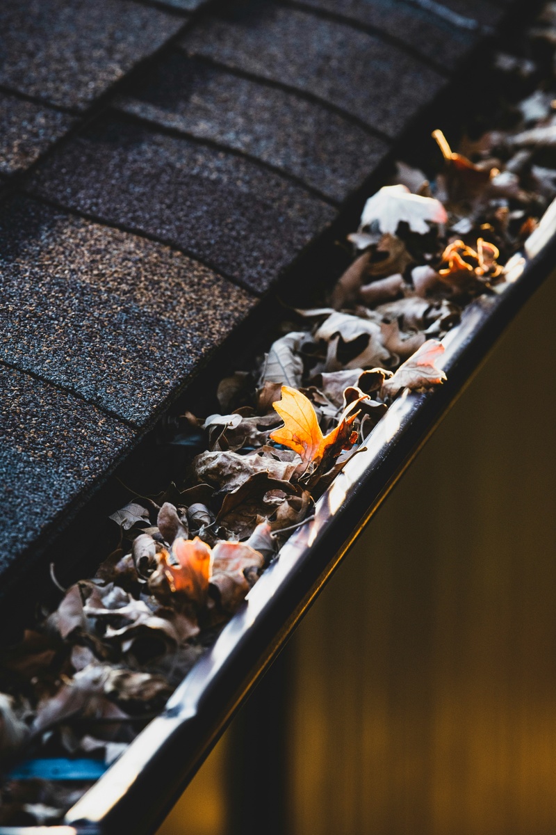 Keep Your Gutters Clean This Fall