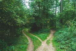 The Trade-Offs of Midlife: Why You Can’t Afford Everything