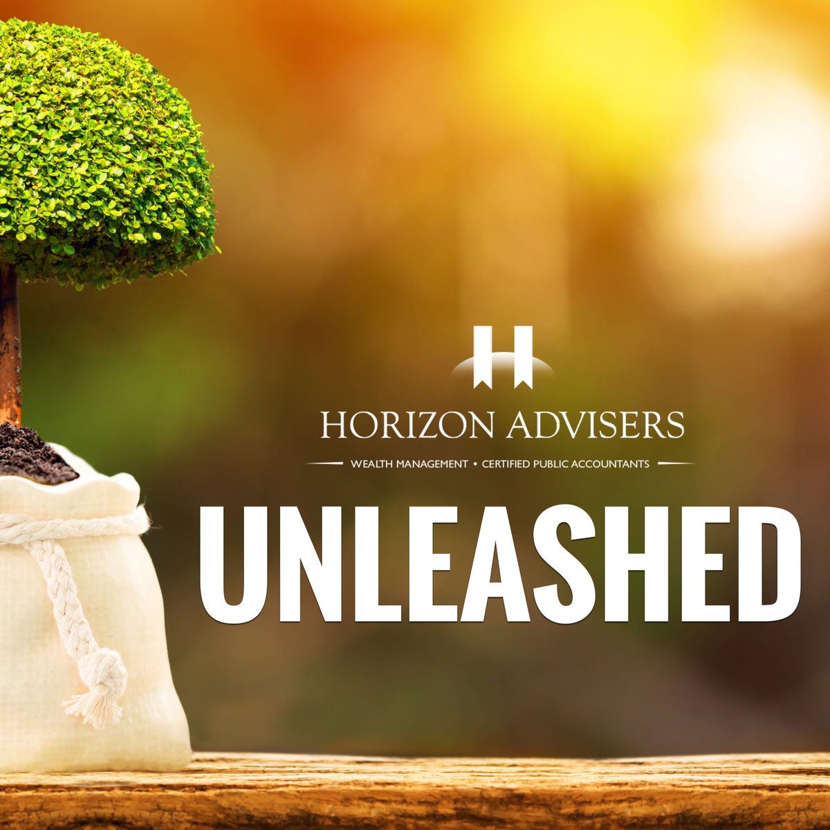 Horizon Advisers Unleashed Podcasts – Episode #88 - Money Stress