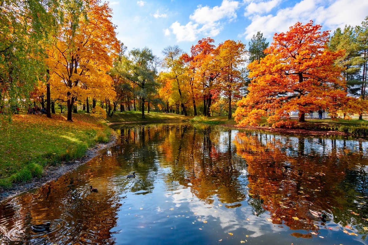 FALL 2024 COMMENTARY AND OUTLOOK