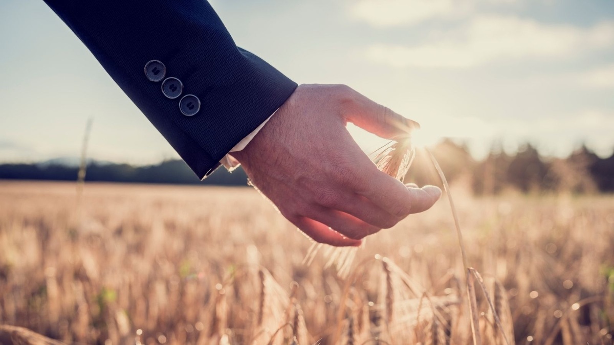 Why I Created Favor Wealth