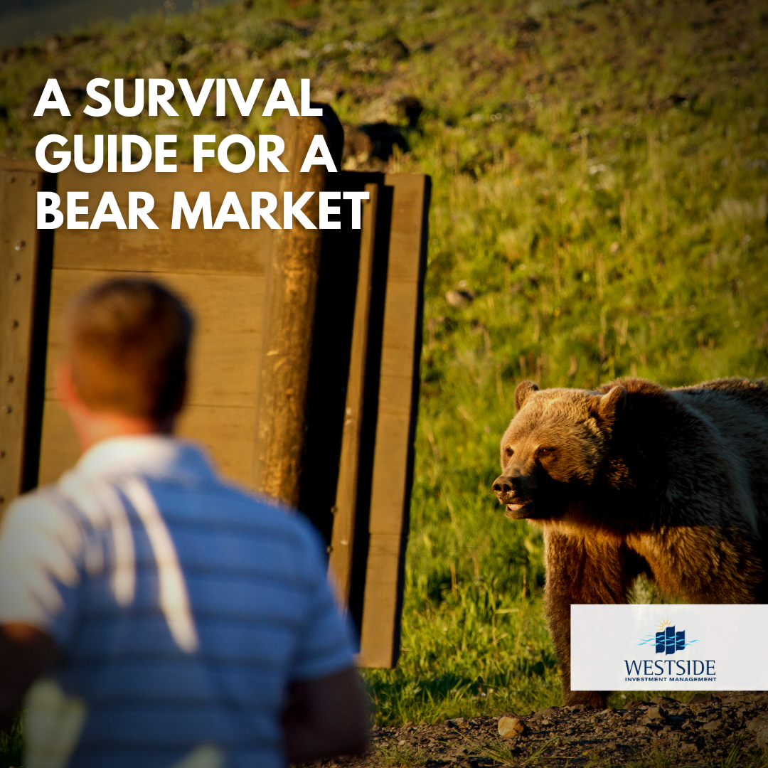 A Survival Guide for a Bear Market