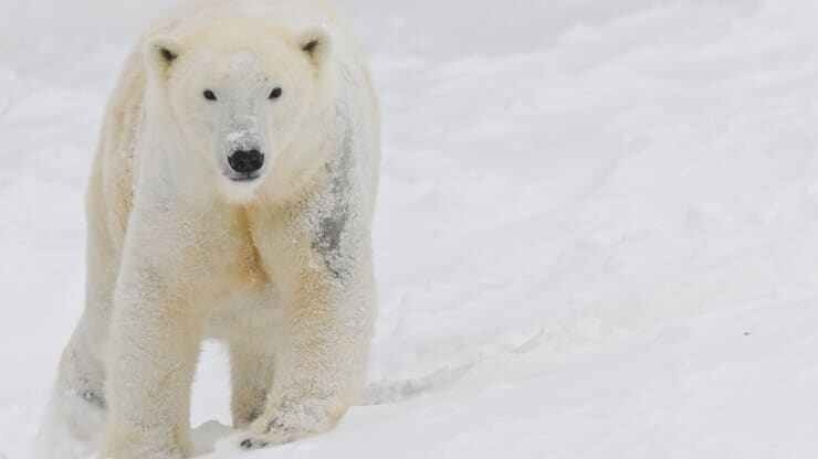 The Hidden Bear Market