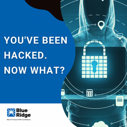 You've Been Hacked, Now What?