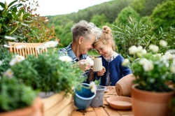 The Living Trust: Top Benefits and Options for the Wealthy