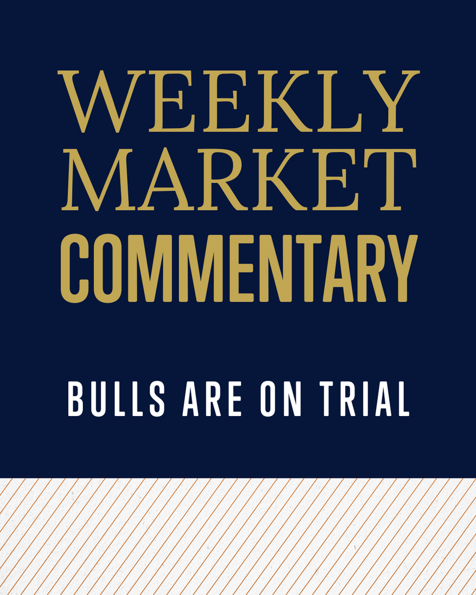 Bulls Are on Trial