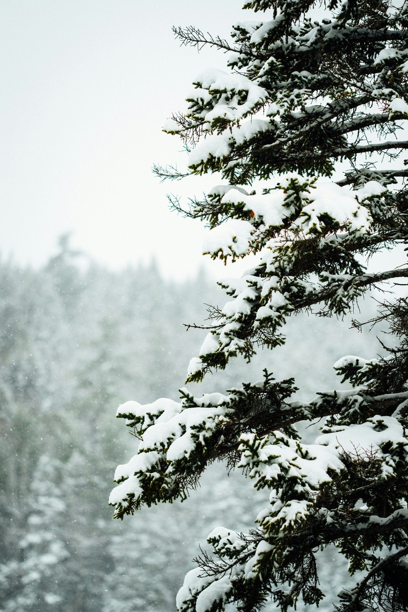 How to File a Property Claim After a Winter Storm in Idaho