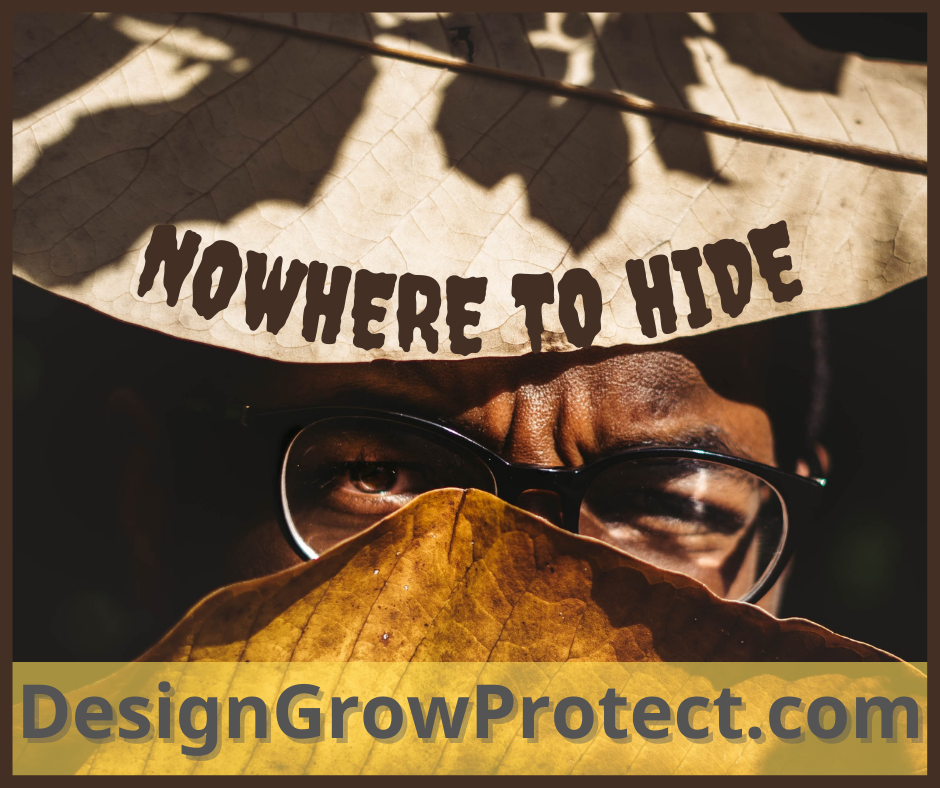 Nowhere to Hide