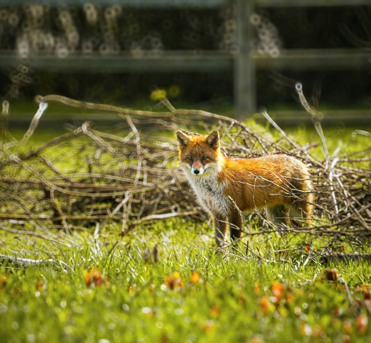 Weekly Market Insights | Shifted Policy Gears Rev Markets