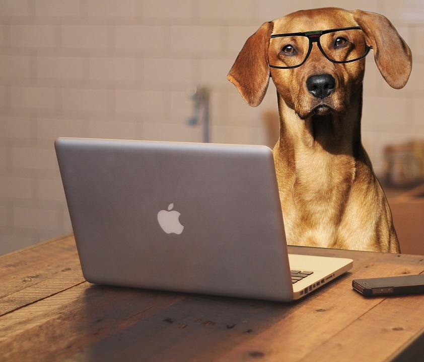 15 Popular Perks for Employees