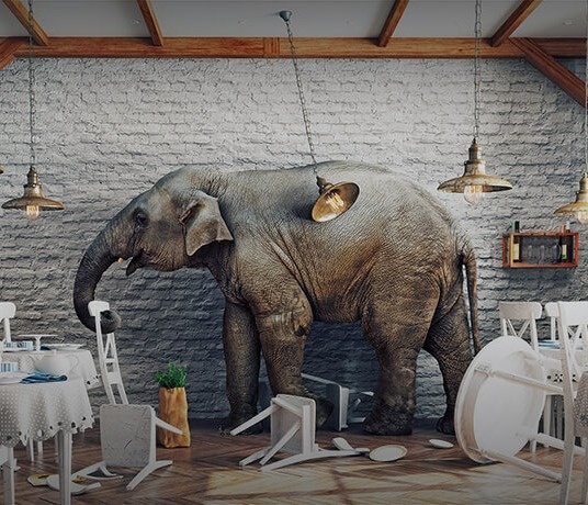 Social Security: The Elephant in the Room