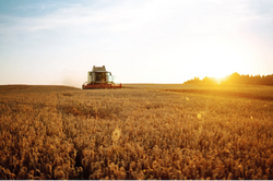 What We Can Learn from Harvest Season