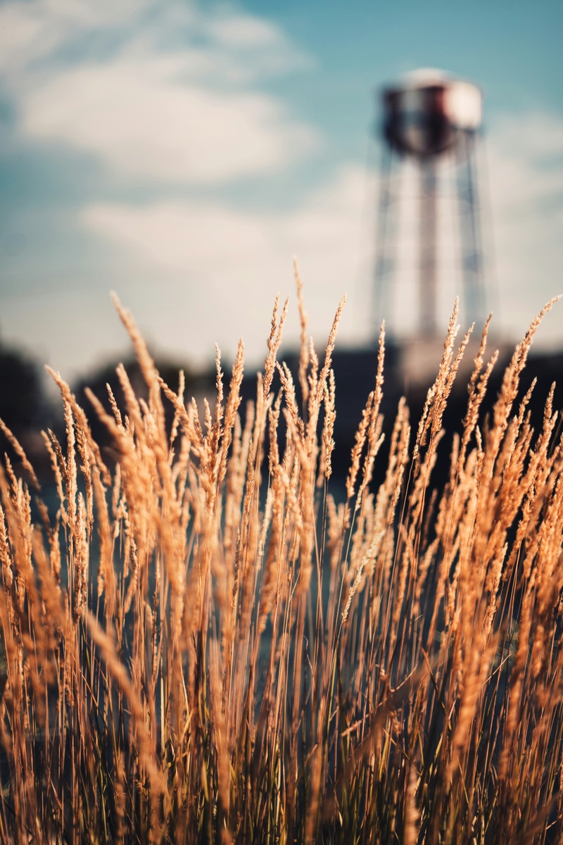 5 Tips for Lowering Your Car Insurance Premium in Rural Idaho