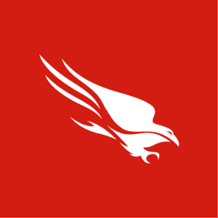 CrowdStrike RSUs: What Employees Should Consider When Shares Vest
