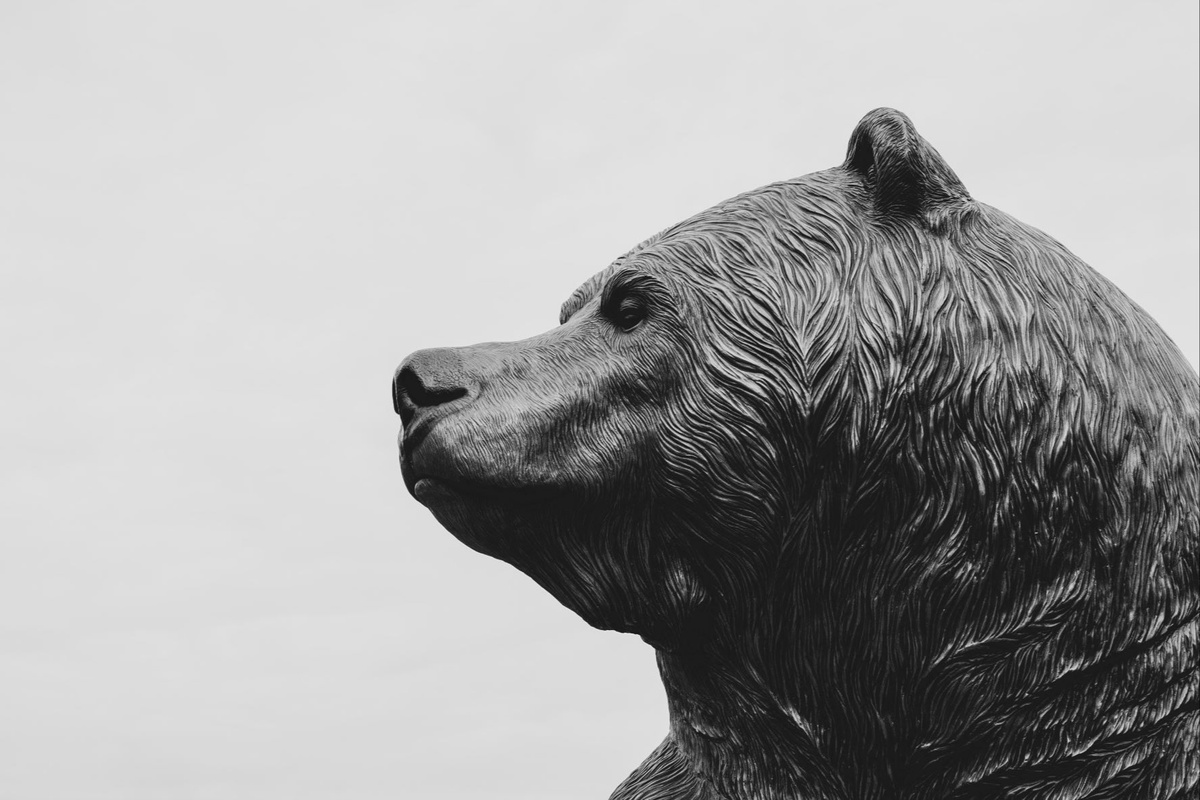 Understanding Recessions and Bear Markets