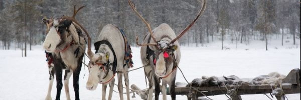 The 12 Scams of Christmas: Your Holiday Protection Guide for 2025
