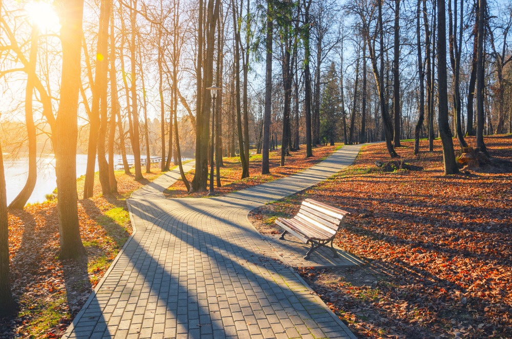 Market at a Fork in the Road: Decoding the Short-Term Outlook