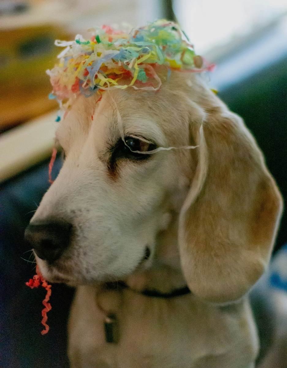 Weekly Market Insights | Santa Arrives on Wall Street