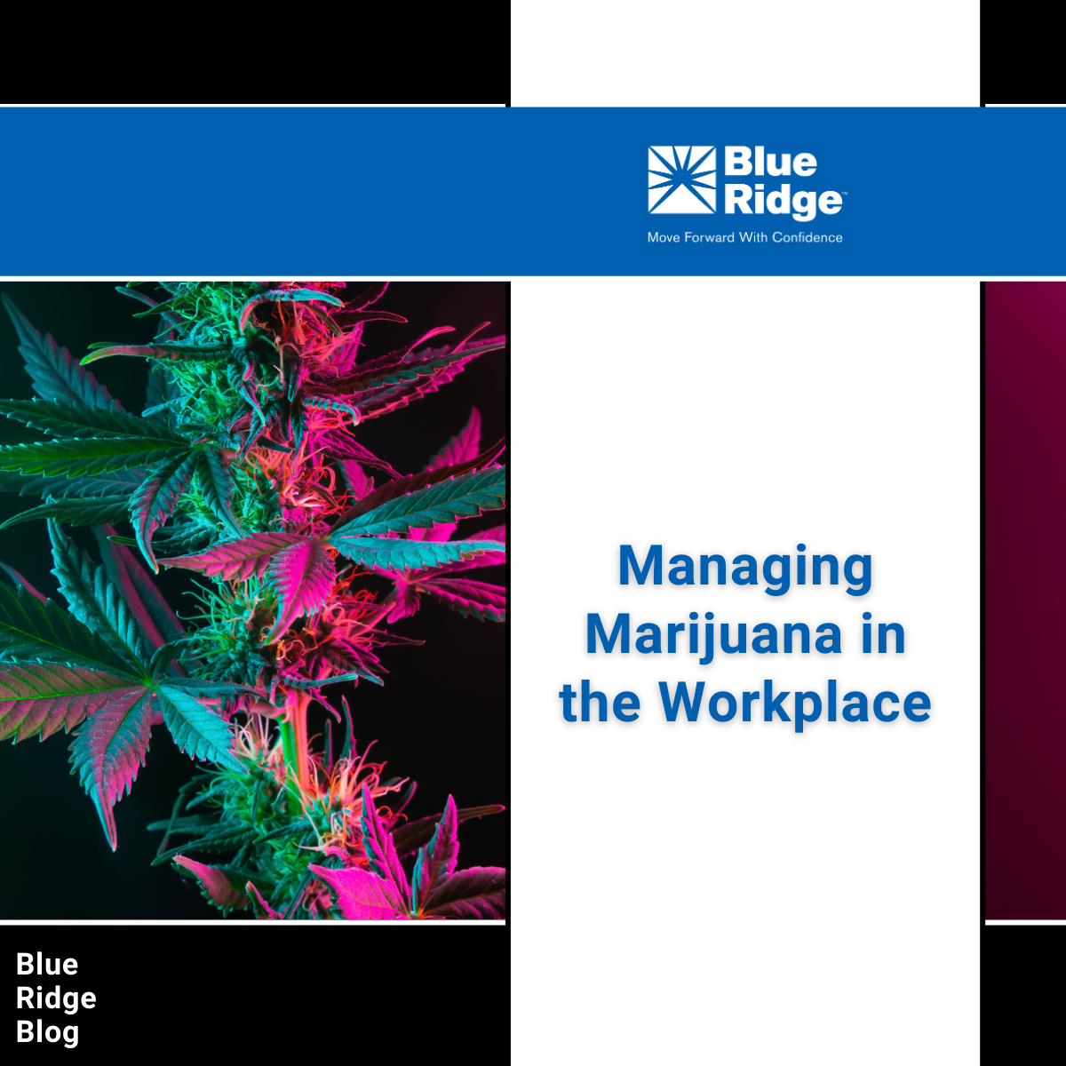 Managing Marijuana In The Workplace