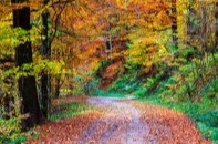 Emergency Funds: Preparing for the Unexpected