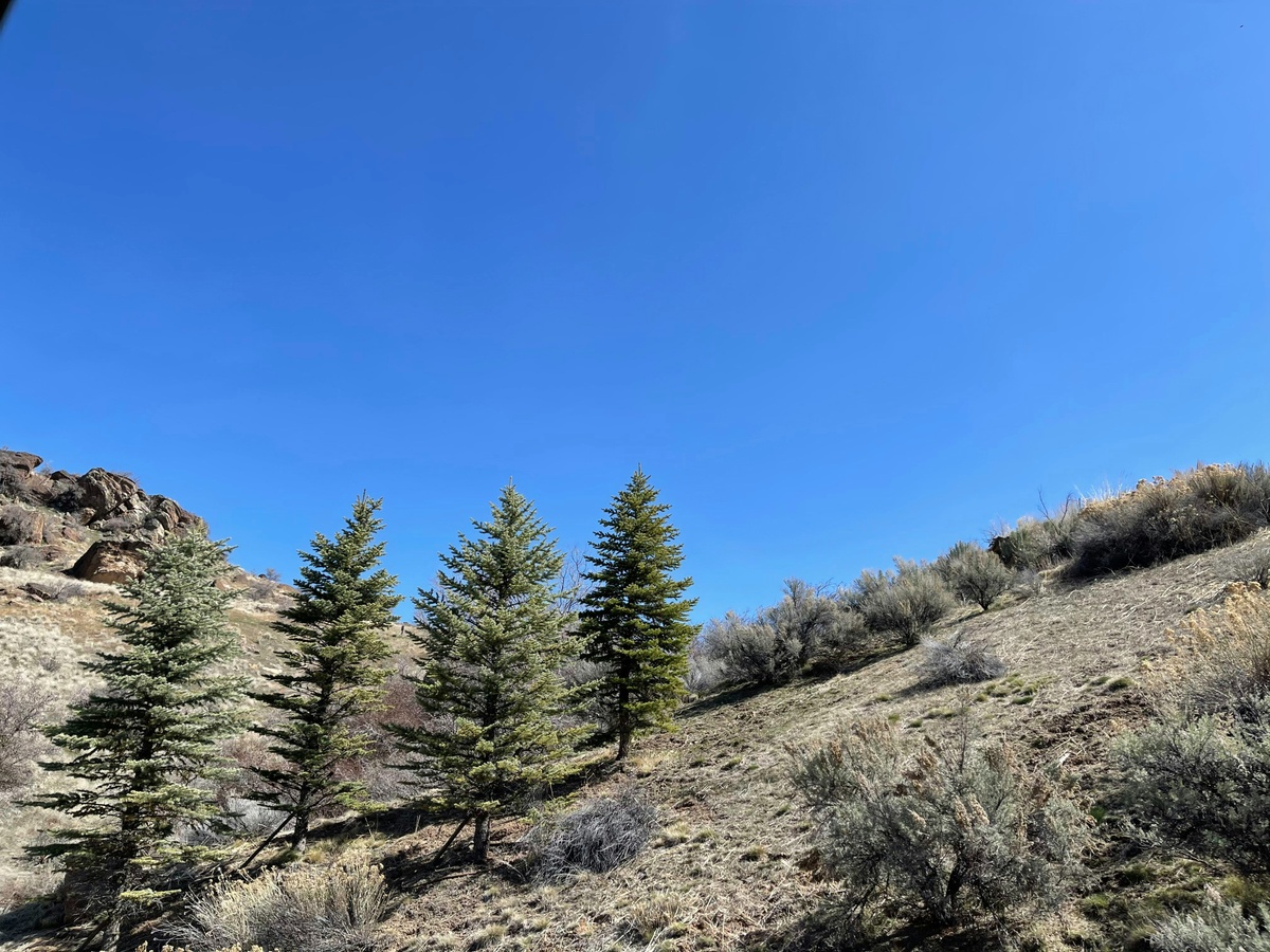 Spring Driving Hazards in Idaho and How Auto Insurance Protects You