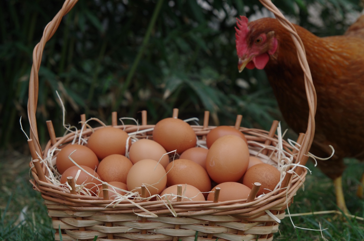 Staying Invested Through Uncertainty: A Smarter Way to Build Retirement Income