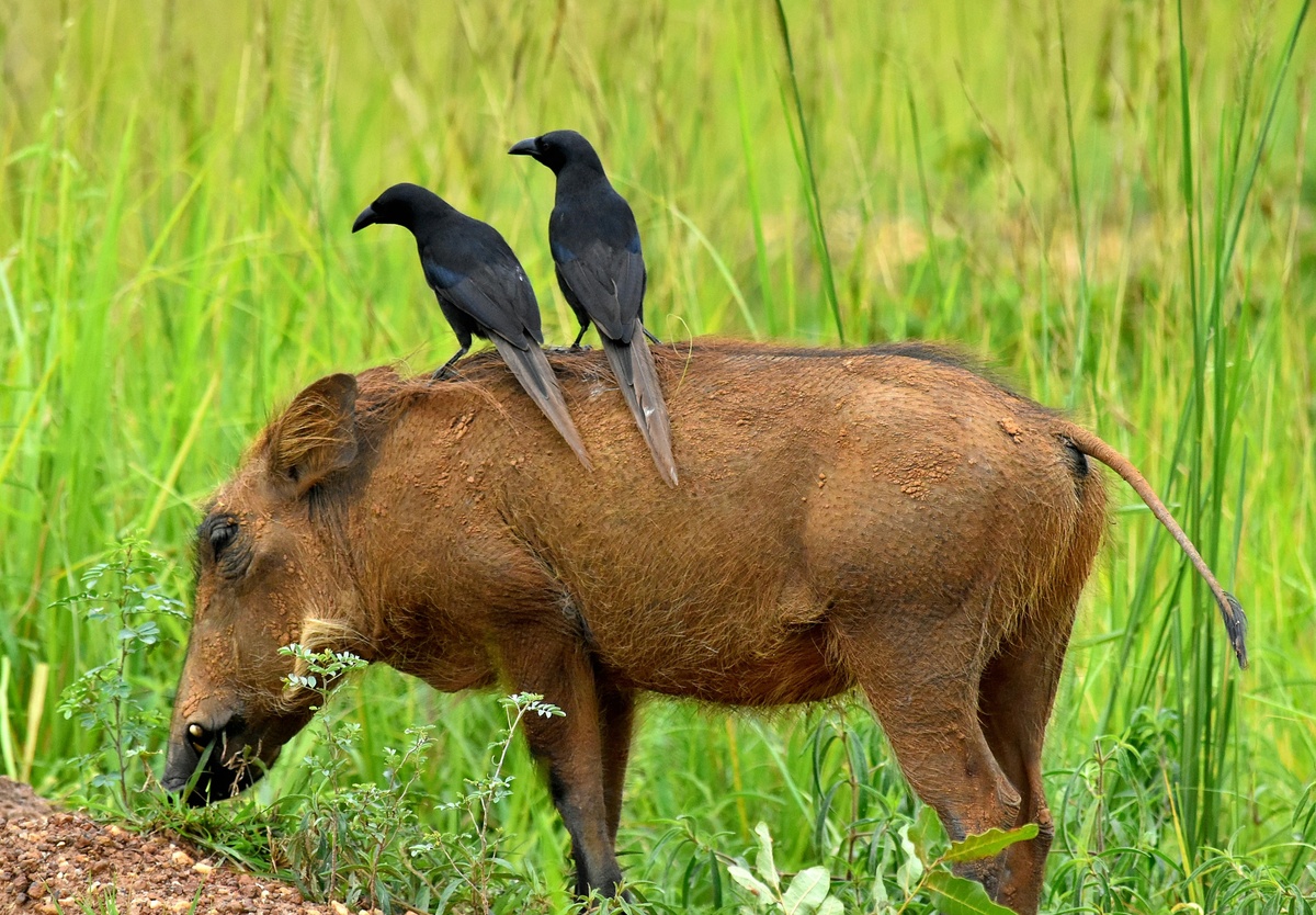 Weekly Market Insights | Investors React to Mixed Signals