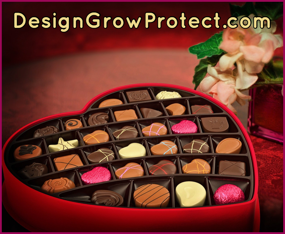 Valentine’s Day 2022