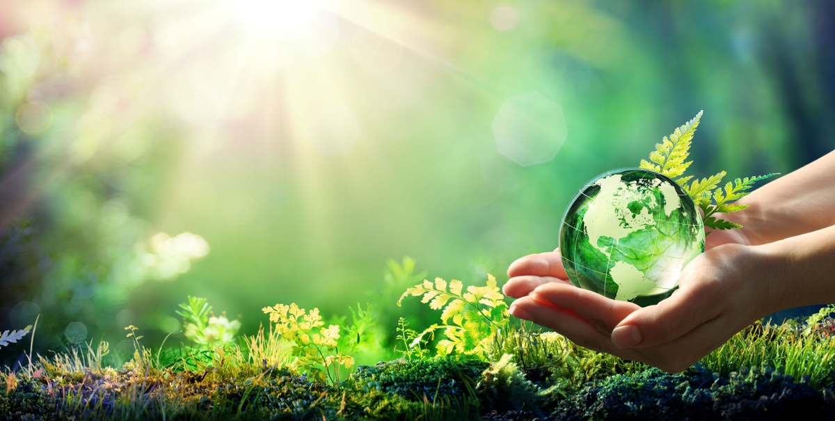 Small Acts, Big Impact: Earth Day 2025