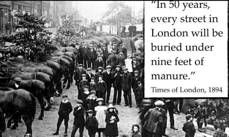 The Great Horse Manure Crisis: A Pile of History and Lessons in Innovation