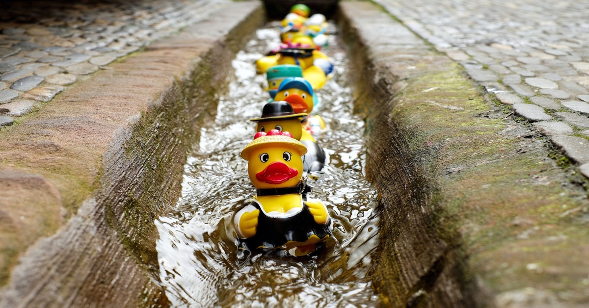 Estate Management… Are your ducks in a row?