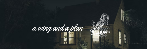 Creating a Budget