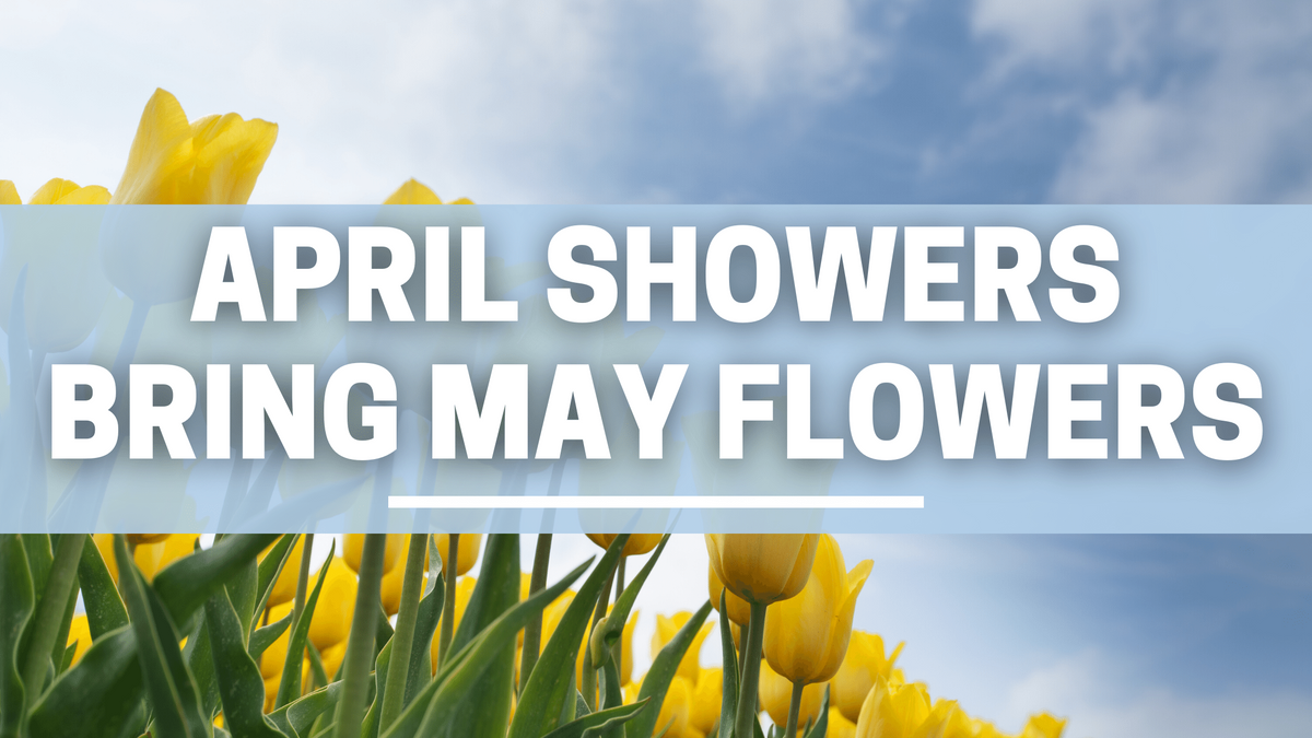 April Showers Bring May Flowers