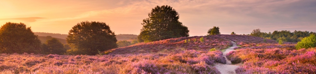 Year-End Planning: Preserve, Grow, and Give