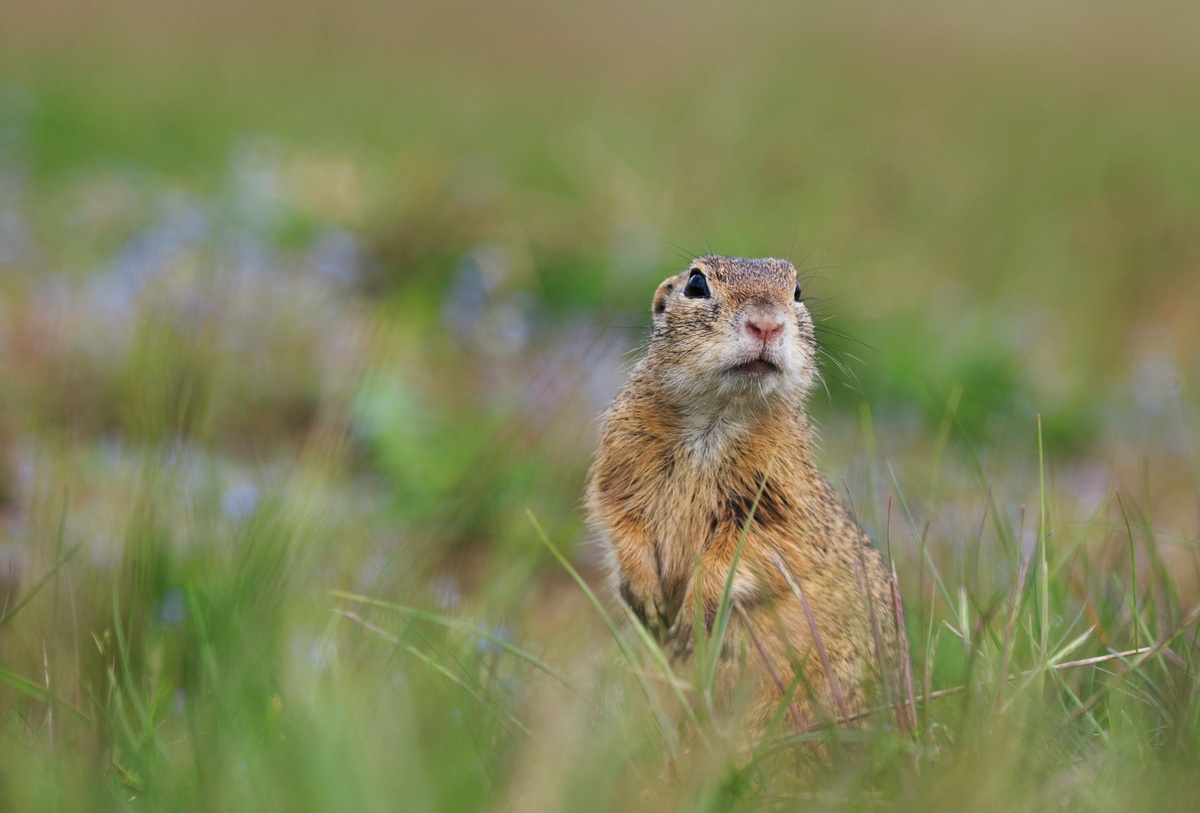 Weekly Market Insights | Positive Indicators Lift Stocks into May