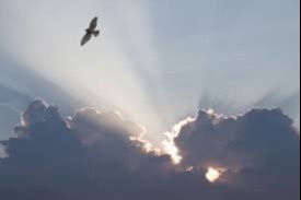 Silver Lining in Down Markets