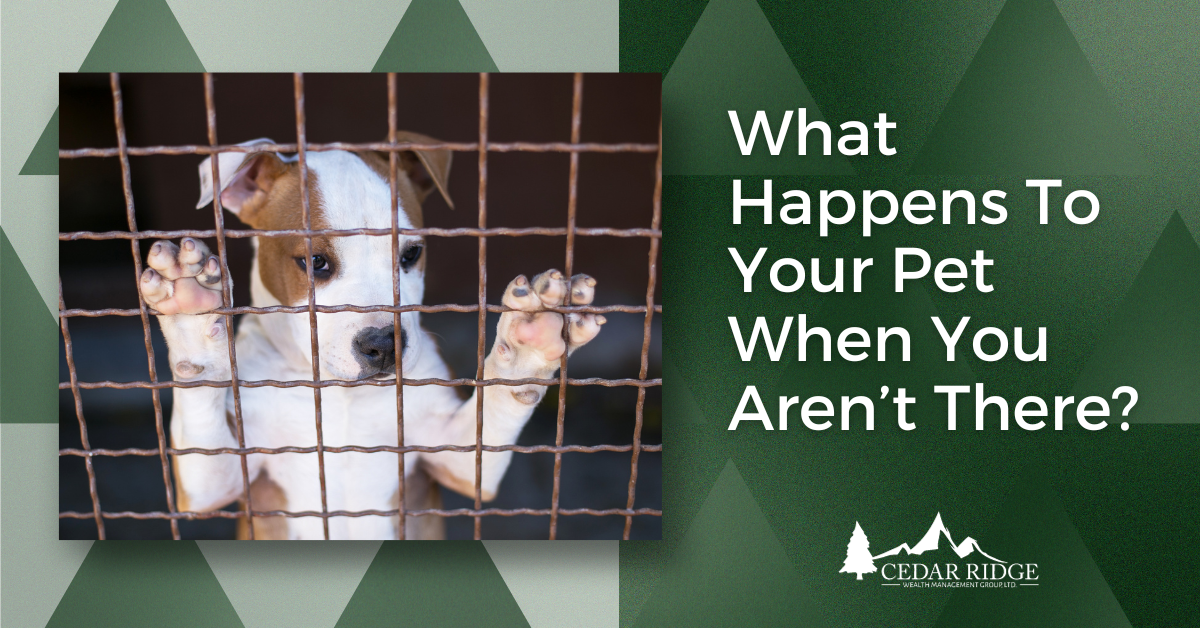 Providing for Your Pet in the Event of Death or Disability