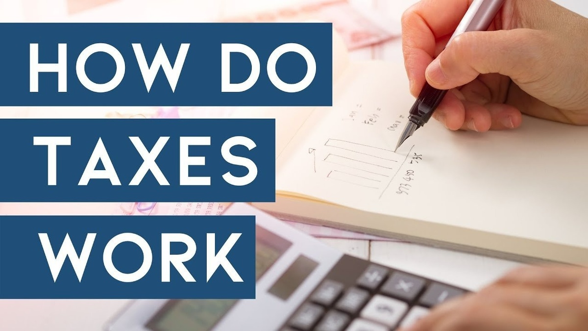 How Do Taxes Work?