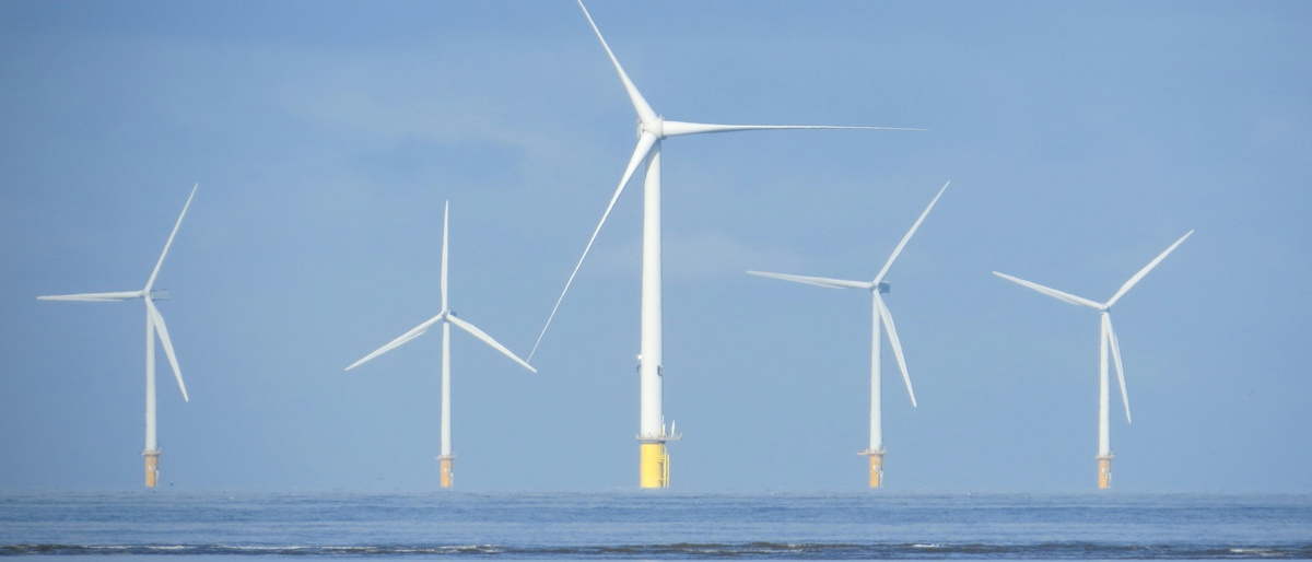 January Market Insights: A Steady Economy Amid Shifting Winds