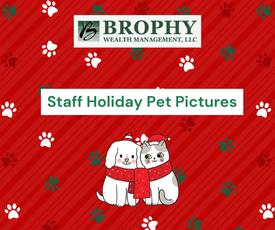 Holiday Cheer from Our Furry Friends 🎄🐾