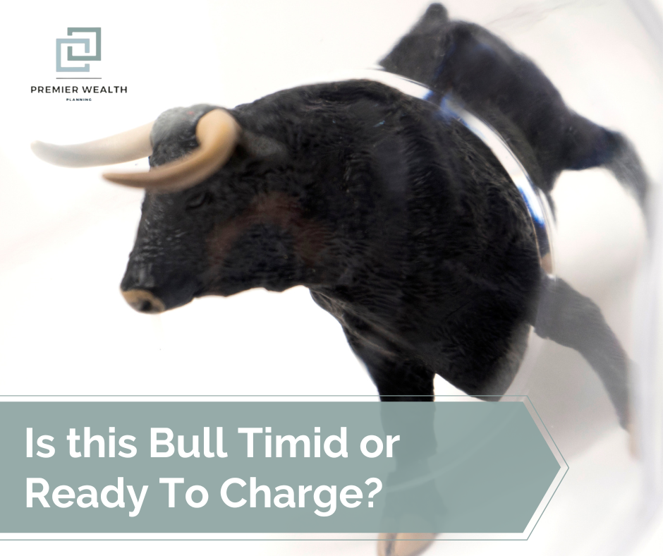 Is This Bull Timid or Ready to Charge?