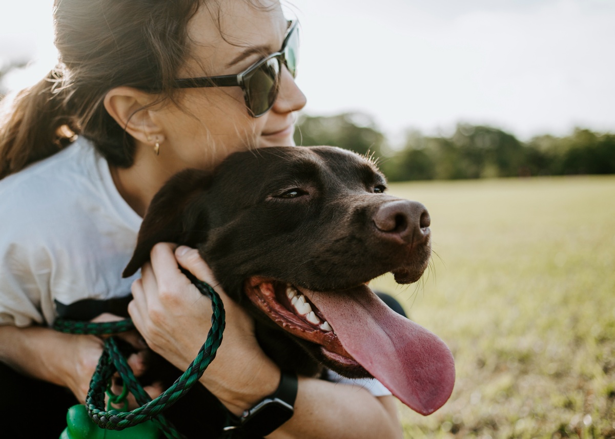 Dog Bite Liability - Info and Tips for Residents of Conway, Arkansas