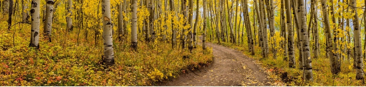 Maximize Retirement with Year-End Financial Moves